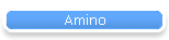 Amino