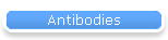 Antibodies
