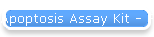 Apoptosis Assay Kit - FITC