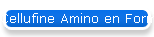 Cellufine Amino en Formyl