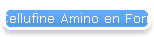 Cellufine Amino en Formyl