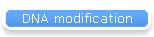 DNA modification