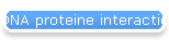 DNA proteine interaction