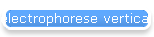 electrophorese verticale