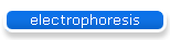 electrophoresis