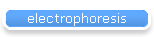 electrophoresis