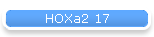 HOXa2 17