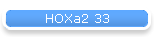HOXa2 33