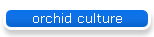 orchid culture