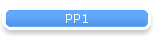 PP1
