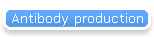Antibody production