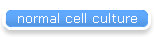 normal cell culture