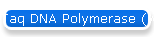 Taq DNA Polymerase (with dNTPs)