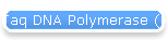 Taq DNA Polymerase (with dNTPs)