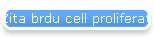Zita brdu cell proliferation