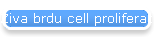 Ziva brdu cell proliferation